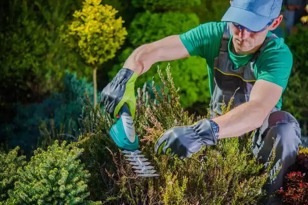 landscaping services Wooster